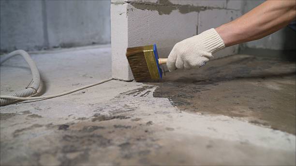 Top rated local Wet Basement Repair specialists in Rhoadesville, VA